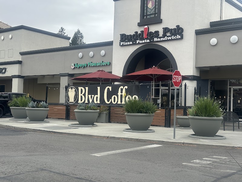 Blvd Coffee interior — bright, modern café space on Blossom Hill